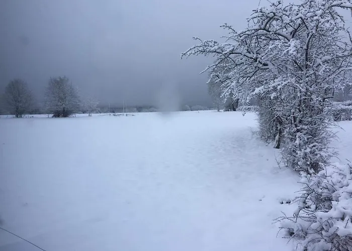 Le Diamanster Francorchamps